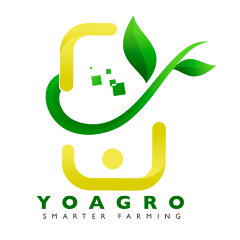 YoShop Logo